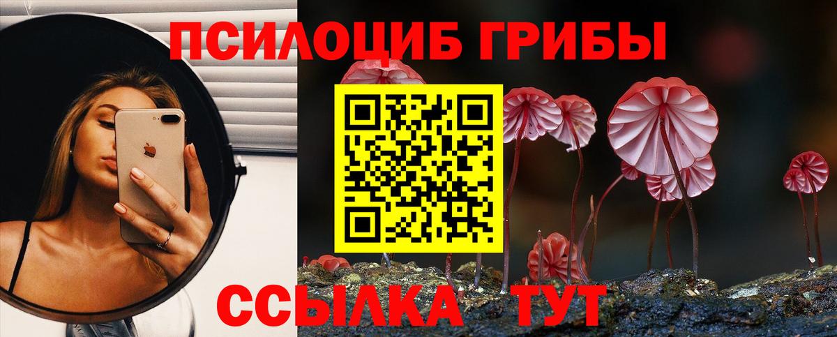 Галлюциногенные грибы прущие грибы Отрадное